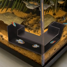 Shrimp fish aquarium for sale  Denver