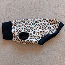 Whippet dog puppy for sale  SHEFFIELD