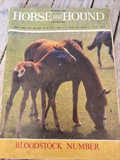 Horse hound september for sale  PENRITH