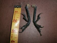 Magpie feet flat for sale  DONCASTER