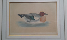 1st edition engraving for sale  BRISTOL