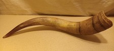 Vintage natural horn for sale  NEWTON-LE-WILLOWS