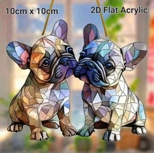 Acrylic mini french for sale  CHEPSTOW