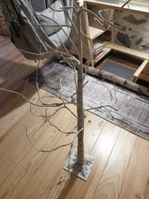 Petit arbre bouleau d'occasion  Limoges-