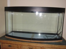 Aquarium juwel 240 gebraucht kaufen  Lohmar