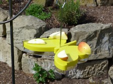 Futterschale schmetterlinge tr gebraucht kaufen  Deutschland