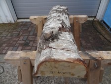 Birke massiv bohle gebraucht kaufen  Grasberg