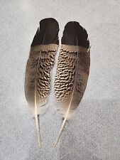 Xas12 pen raised for sale  Hill City