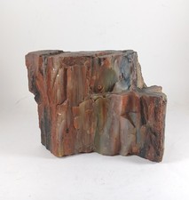 Beautiful piece petrified for sale  Baldwinville