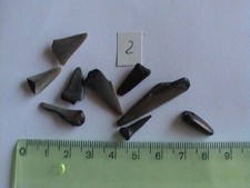 haifischzahn fossil gebraucht kaufen haifischzahn fossil gebraucht kaufen  Köln