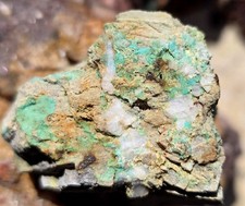 Mineralien türkies wavellit gebraucht kaufen  Sundern (Sauerland)