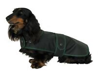 Factory second dachshund for sale  CREWKERNE