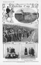 Coursing scenes waterloo for sale  GLASGOW