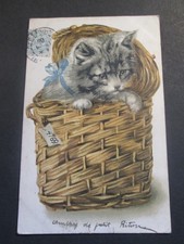Cat fancy postcard d'occasion  Expédié en Belgium
