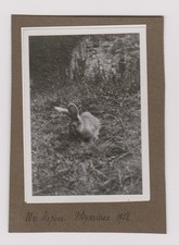 Old photo poleymieux d'occasion  Expédié en Belgium