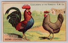 Prêmio Leghorns Galo de Galinha Cartão Comercial Máquina de Costura Doméstica Publicidade comprar usado  Enviando para Brazil