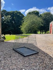Dog guard dog for sale  CUPAR