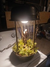 Vintage goddess mineral for sale  Bakersfield