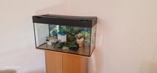 Aquarium 80x30x40 96 gebraucht kaufen  Leonberg