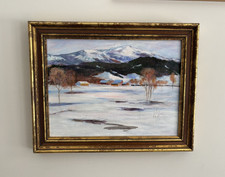 Original winter mountain for sale  Medina