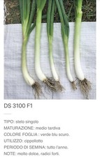 Semi sementi bunching usato  Andria