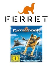 Film dvd cats gebraucht kaufen  Mühlheim