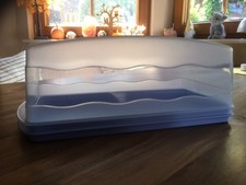 Tupperware junge welle gebraucht kaufen  Ruppichteroth