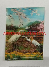 Cartolina lenticolare collezio usato  Cuneo