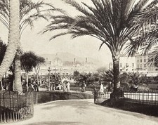Nice jardin c1880 d'occasion  Paris V