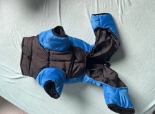 Blau hunde dichte gebraucht kaufen  Ettlingen