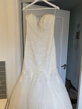 Sophia tolli trumpet for sale  MOLD