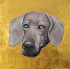 Weimaraner gold designer for sale  LEATHERHEAD