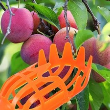 Raccoglitrice frutta alta usato  Conegliano