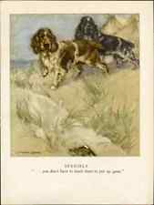 Usado, LIBRO DE ARTE PERRO 16 RAZAS 1947 1ª EDICIÓN Spaniel Setter Terriers Chow segunda mano  Embacar hacia Argentina