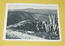 Cpa carte postale d'occasion Cpa carte postale d'occasion  Vendat