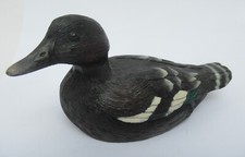 Feathers knysna african for sale  NOTTINGHAM