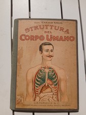 Raro atlante struttura usato Raro atlante struttura usato  Avellino