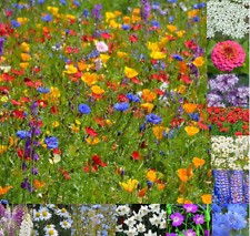 Wild flower scented for sale  BORDON