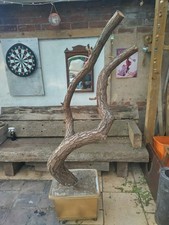 Large parrot play for sale  STOKE-ON-TRENT