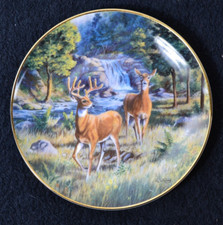 Assiette the franklin d'occasion Assiette the franklin d'occasion  Chambéry