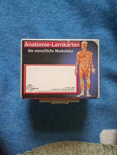 Anatomie lernkarten menschlich gebraucht kaufen Anatomie lernkarten menschlich gebraucht kaufen  Amberg