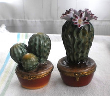 Vintage cactus plant for sale  Flourtown