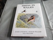 Birds wales roger for sale  SHEFFIELD