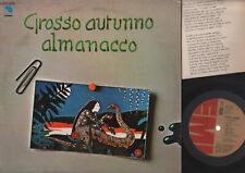 Grosso autunno almanacco usato  Guidonia Montecelio