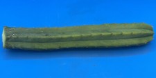 Cereus cactus cuttings for sale  Jacksonville