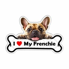 Love frenchie french for sale  Riverside
