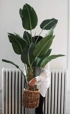 Plante artificielle eva d'occasion  Expédié en Belgium