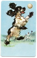 chiot cocker anglais d'occasion chiot cocker anglais d'occasion Expédié en Belgium