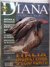 Diana 2003 epagneul usato  Salerno