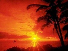 Sunset poster tropical for sale  Pacoima
